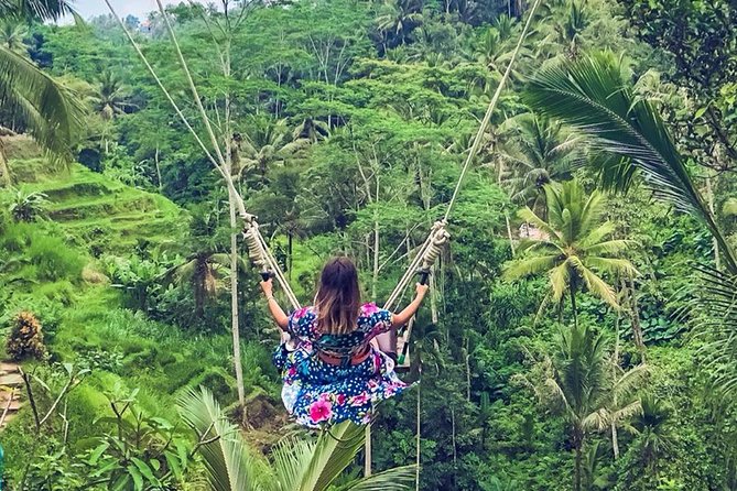 Fantastic Ubud Tour with Jungle Swing - Price and logistics: is the $32 value real?