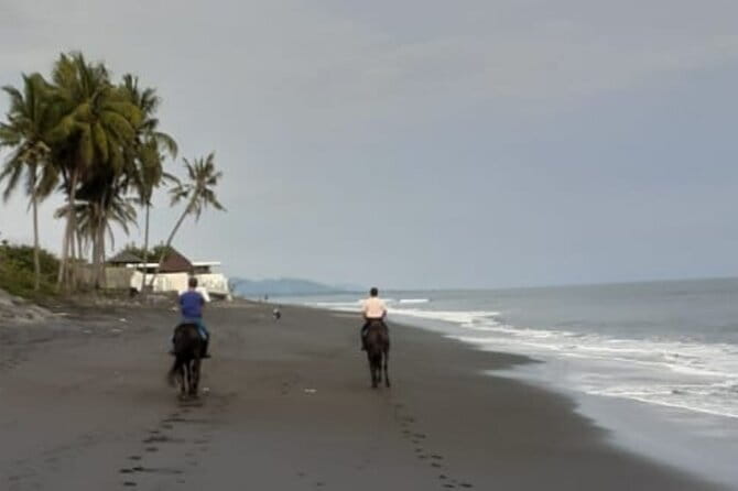 From Ubud 1 Hour Horse Riding at The Beach Experiences - Getting there from Ubud: pickup, drive, and arriving at Saba Beach