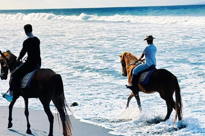 From Ubud 1 Hour Horse Riding at The Beach Experiences - Safety briefing and pairing your horse to your comfort level