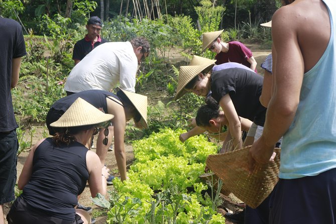 From Ubud: Authentic Bali Farm Cooking School & Organic Farm - What You Eat: A Real Multi-Course Lunch