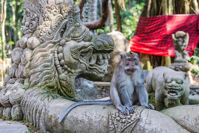 Full-Day Ayung River White Water Rafting and Ubud Tour - Sacred Monkey Forest Sanctuary: respect the rules, enjoy the chaos from a safe angle