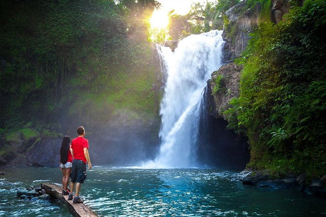 Full-Day in Bali: Amazing Ubud Tour - Sacred Monkey Forest Sanctuary: 700+ macaques, plan your reactions