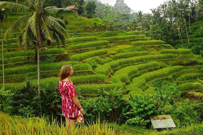 Full-Day in Bali: Private Design-Your-Own Tour - Why this private design-your-own day beats self-driving Bali