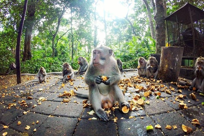 Full-Day in Bali: Private Design-Your-Own Tour - Ubud classics: Monkey Forest, Batuan, and Tegalalang rice terraces