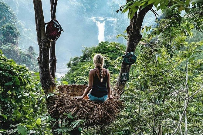 Full-Day in Bali: Private Design-Your-Own Tour - Temples, purification, and Campuhan Ridge Walk