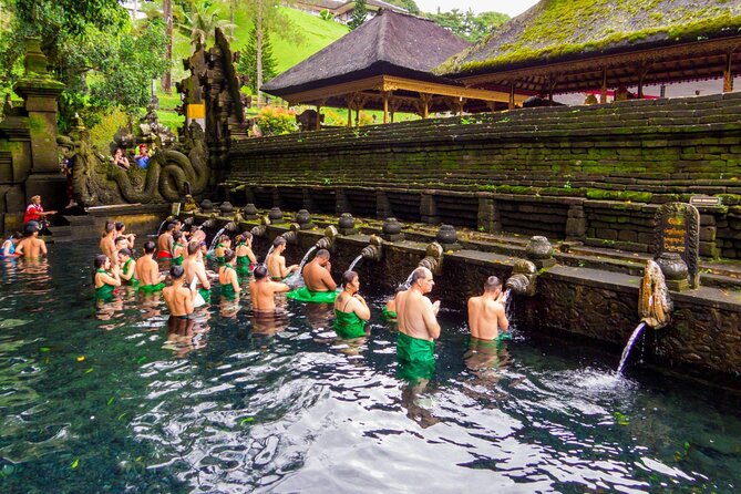 Full-Day Private Car Charter in Bali with Local Guide - A 10-Hour Ubud day that you actually control
