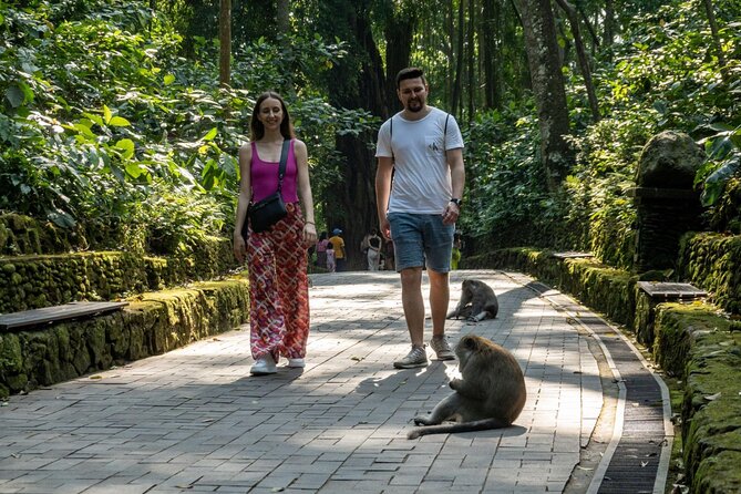 Full-Day Private Car Charter in Bali with Local Guide - Puseh Batuan Temple and Kanto Lampo Waterfall: details you might otherwise miss