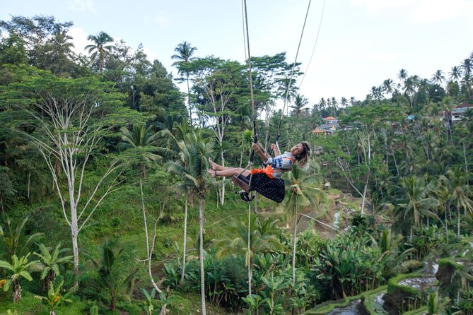 Full Day Private Guided Tour to Bali - Kintamani Highland and Batur Volcano views