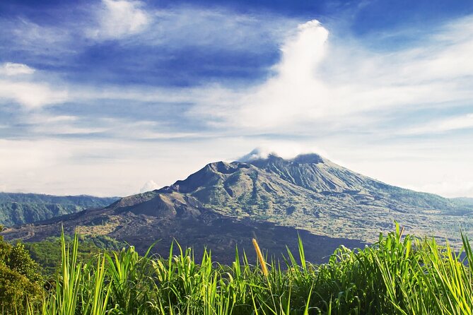 Full Day Private Guided Tour to Bali - Sacred Monkey Forest Sanctuary: temples plus friendly mischief
