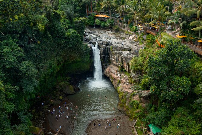 Full Day Private Guided Tour to Bali - Optional Ubud extras: choose based on your mood and time