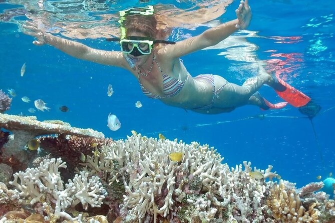 Full-Day Tour in Nusa Penida Island + Snorkeling Experience - Key Highlights You Should Know