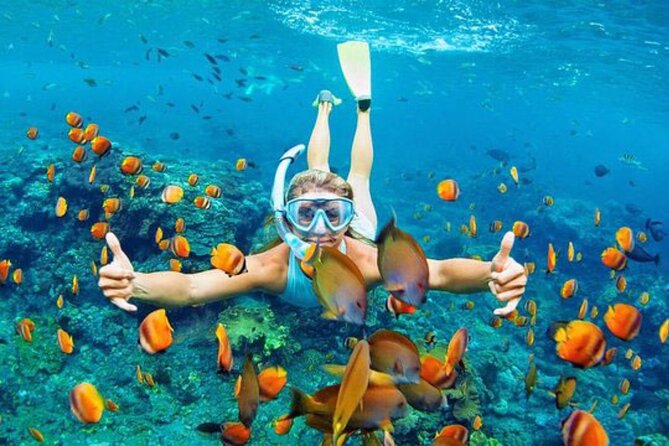 Full-Day Tour in Nusa Penida Island + Snorkeling Experience - Gamat Bay snorkeling: rugged black sand and a practical rinse