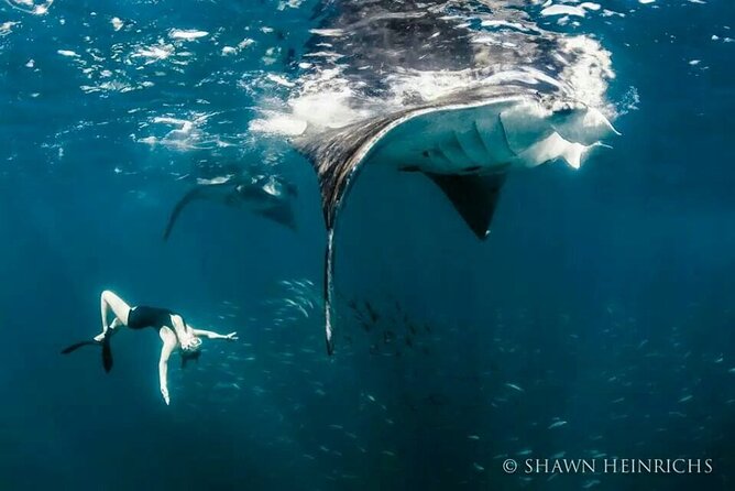 Full-Day Tour in Nusa Penida Island + Snorkeling Experience - Price and logistics: what $45 really covers in one long day