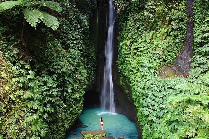 Full-Day Tour to Water Temples and UNESCO Rice Terraces in Bali - The big idea: temples plus UNESCO rice terraces, all in one private day