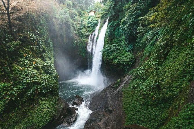 Full day Ubud and Tanah Lot tour - What to expect from the guide and transportation