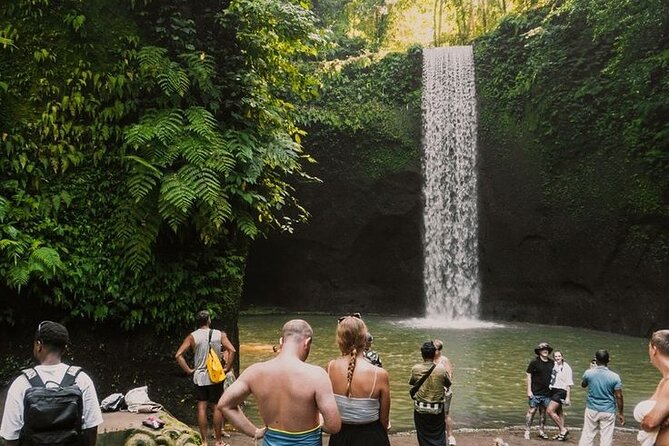 Full Day Ubud Custom Private Tour with Hotel Pickup - Price and What You Actually Get for $35.20
