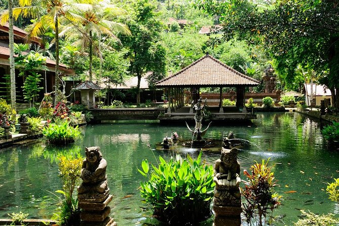 Full Day Ubud Custom Private Tour with Hotel Pickup - Tegalalang Rice Terrace and Happy Swing Bali: Two Ways to See the Same View