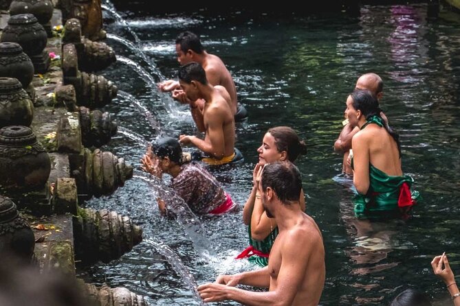 Full Day Ubud Custom Private Tour with Hotel Pickup - Sacred Monkey Forest Sanctuary: Temples, Trees, and Close Encounters