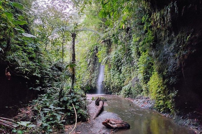 Get wet on Bali's most stunning waterfalls - Tukad Cepung Waterfall: a jungle walk into a framed waterfall