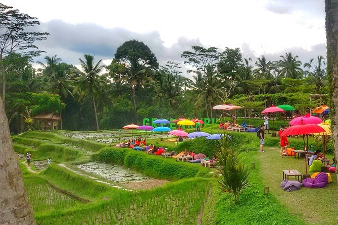 Half Day Cycling Tour ( Manual Bike ) - Taro village coffee break: a slower pause in palm gardens