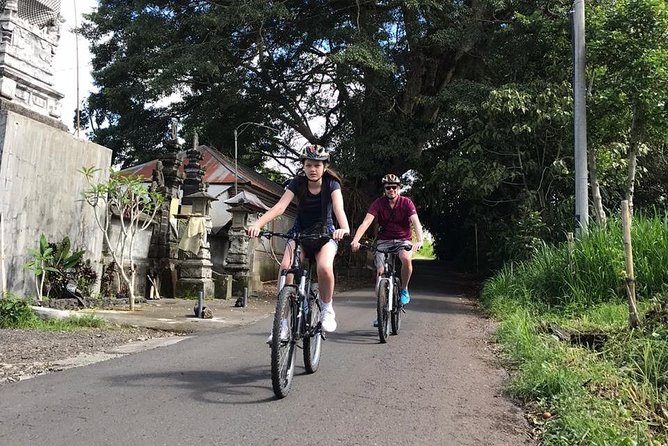 Half Day Cycling Tour ( Manual Bike ) - Payangan finish and Greenkubu lunch: the best reward after pedaling