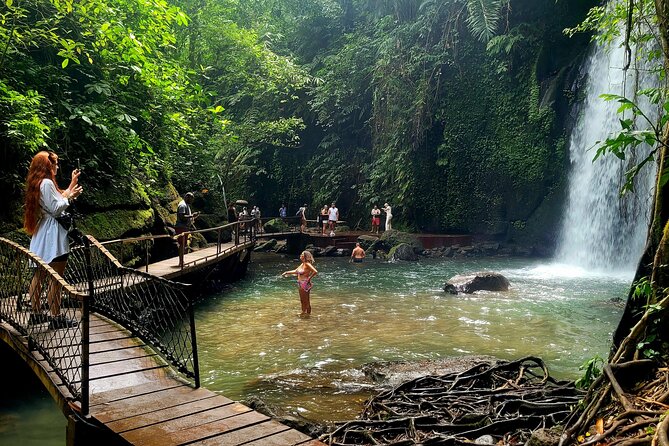 Half Day Tour Ubud Rice Terrace with Activities and Waterfall - Key things to know before you go