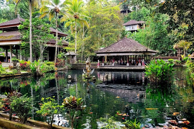 Half Day Tour Ubud Rice Terrace with Activities and Waterfall - Stop 2: Ulu Petanu Waterfall, the easy forest walk and cool-off pool