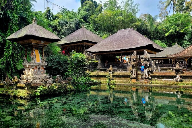 Half Day Tour Ubud Rice Terrace with Activities and Waterfall - Activities like swing or zip-line: how to decide what fits your day