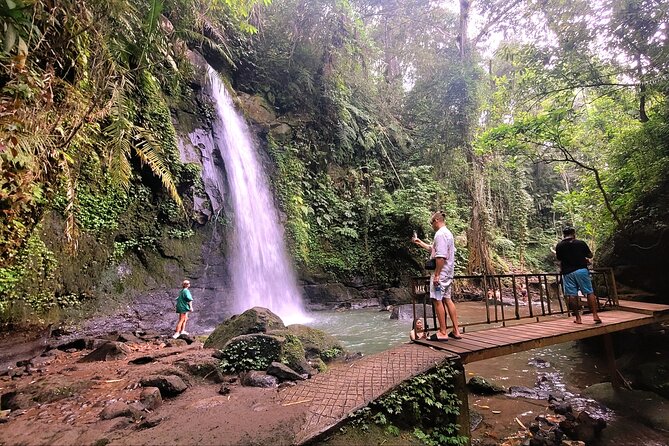 Half Day Tour Ubud Rice Terrace with Activities and Waterfall - Stop 1: Abian Desa Rice Terrace for paddies, swings, and sky-bike views