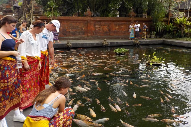 Half-Day Ubud Electric Cycling Tour to Tirta Empul Water Temple - Why an e-bike works so well around Ubud hills