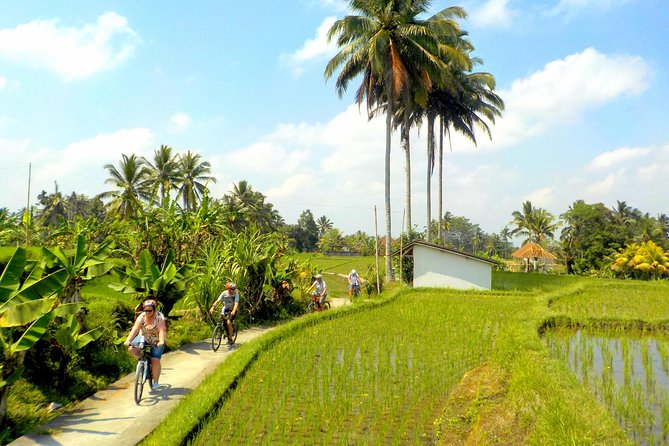Half-Day Ubud Electric Cycling Tour to Tirta Empul Water Temple - Lunch at Pangkon Bali Resto: refuel without rushing the day