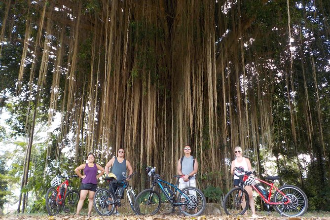 Half-Day Ubud Electric Cycling Tour to Tirta Empul Water Temple - Guides and group size: why the experience feels well managed