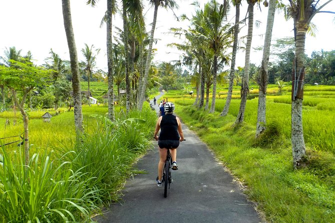 Half-Day Ubud Electric Cycling Tour to Tirta Empul Water Temple - Pickup, meeting points, and how the half-day timing feels