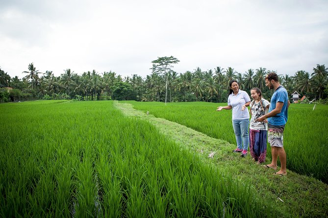 Half-Day Ubud Heritage Food Tour - Key things to know before you go