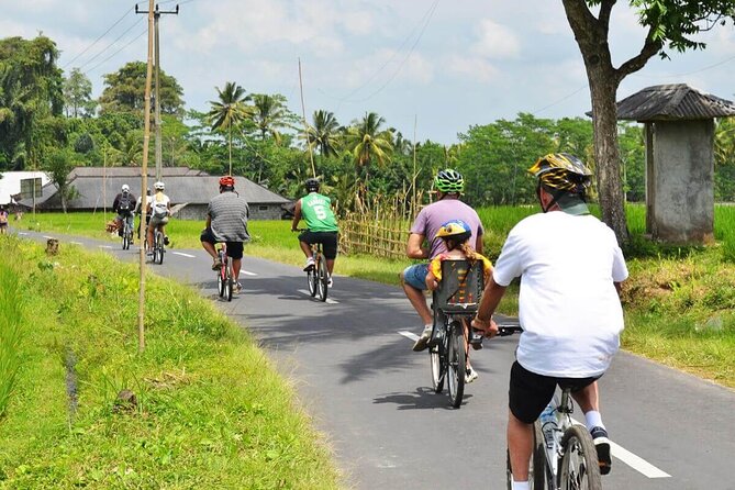 Half-Day Ubud Rice Field and Village Cycling Tour - Getting Started: Hotel Pickup to a Morning Near Kintamani