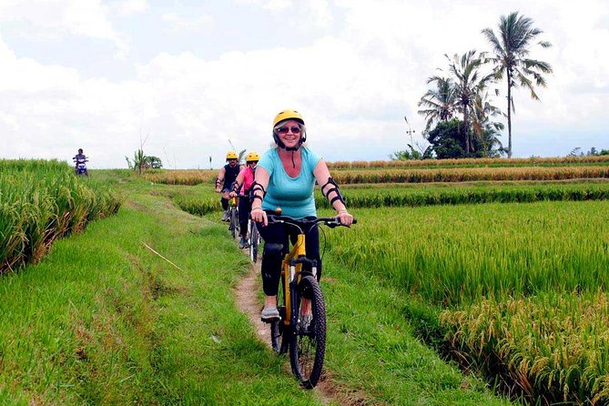 Half-Day Ubud Rice Field and Village Cycling Tour - Cycling Back Toward Ubud: Roads, Tracks, and Rice Terraces