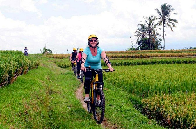 Half-Day Ubud Rice Field and Village Cycling Tour - The Village House Compound Stop: Why This Isn’t Just Pretty Views