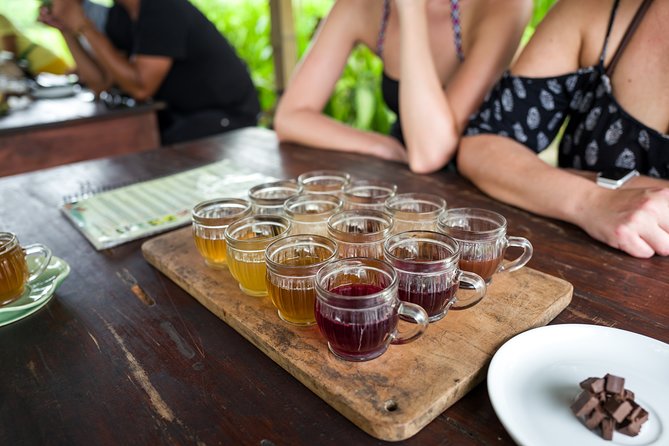 Half-Day Ubud Rice Field and Village Cycling Tour - Your Guide Makes the Difference: Sujaya, Bagus, Eddie, and Arak