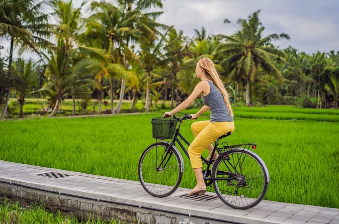 Half-Day Ubud Rice Field and Village Cycling Tour - Lunch After the Ride: A Traditional Balinese Meal, Not a Grab-and-Go