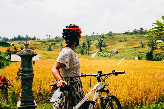 Half-Day Ubud Rice Field and Village Cycling Tour - Coffee Plantation Stop: A Small Pause That Sets the Tone