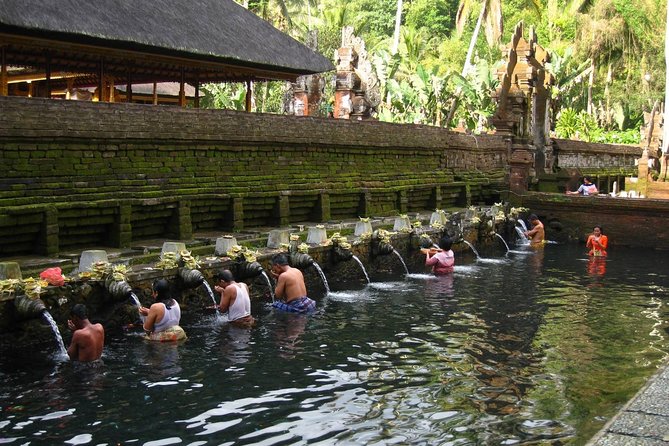 Half Day Ubud Tour - Private Guided Tour - Private pickup, air-conditioned comfort, and one guide to steer the day
