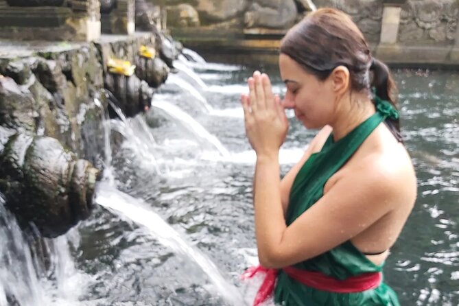 Half Day Ubud Tour - Private Guided Tour - Tegenungan Waterfall: the classic photo stop with a short, manageable time window