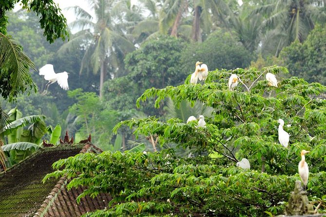 Half Day Ubud Tour: Ubud Unique Spots - Ubud Traditional Art Market: quick shopping without the stress