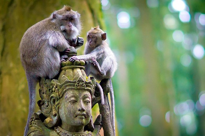 Half Day Ubud Tour: Ubud Unique Spots - Who this tour fits best
