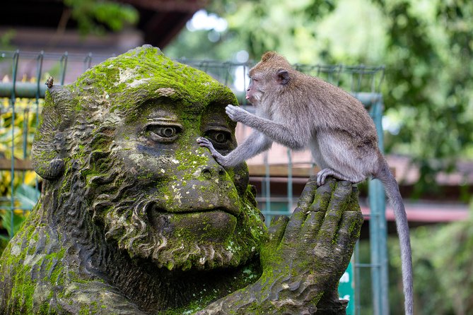 Half Day Ubud Tour: Ubud Unique Spots - Sacred Monkey Forest Sanctuary: temples, shade paths, and macaques