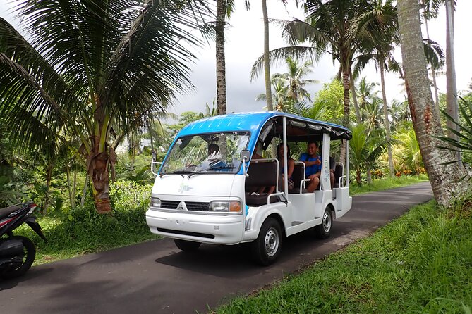Half Day Ubud Waterfall Tour - Why This Half-Day Ubud Waterfall Tour Feels Like a Proper Day Out
