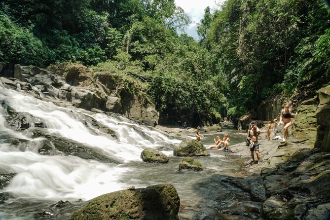 Half Day Ubud Waterfall Tour - The Sweet Spot: Three Waterfalls, One Scenic Loop (and Great Timing)