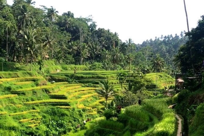 Heaven Gate, Tirtagangga and Tukad Cepung Waterfall - All Inclusive - How the timing works for a smooth 8 to 10 hour day