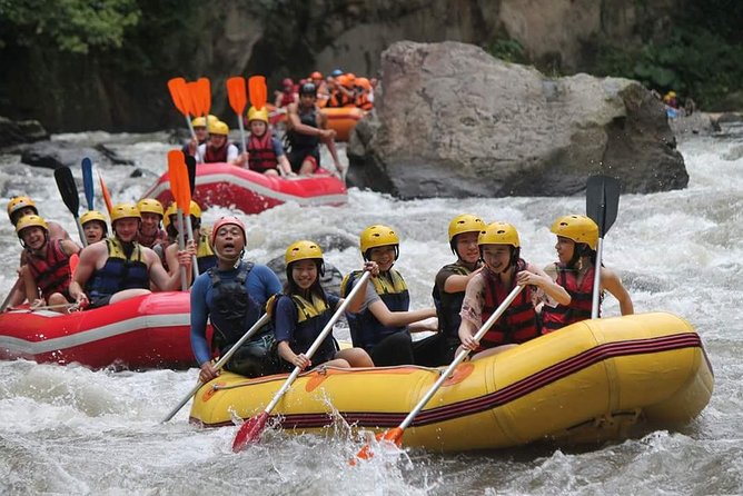 Hidden Canyon Beji Guwang & White Water Rafting - Ayung River rafting: Grade II-III that still feels like real white water