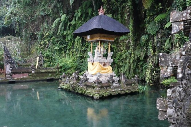 Hire Bali Driver for 10-hour (Bali as You Please) - West and Northwest Photo Routes: Handara, Hidden Hills, and UNESCO Rice Scenes